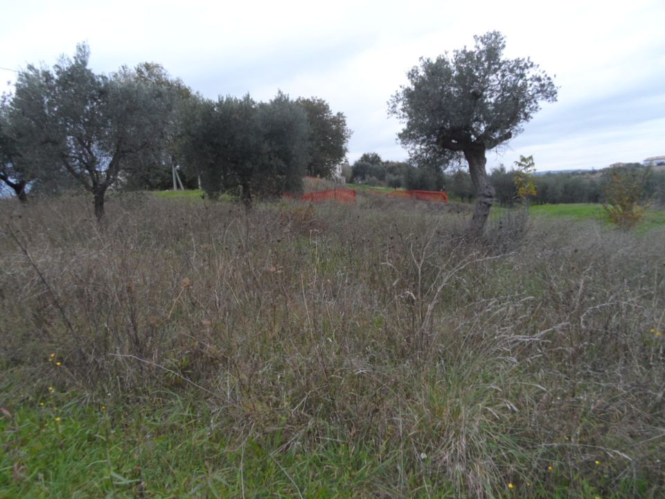 Helårsgrund i Castel Di Lama, Ascoli Piceno - foto 4