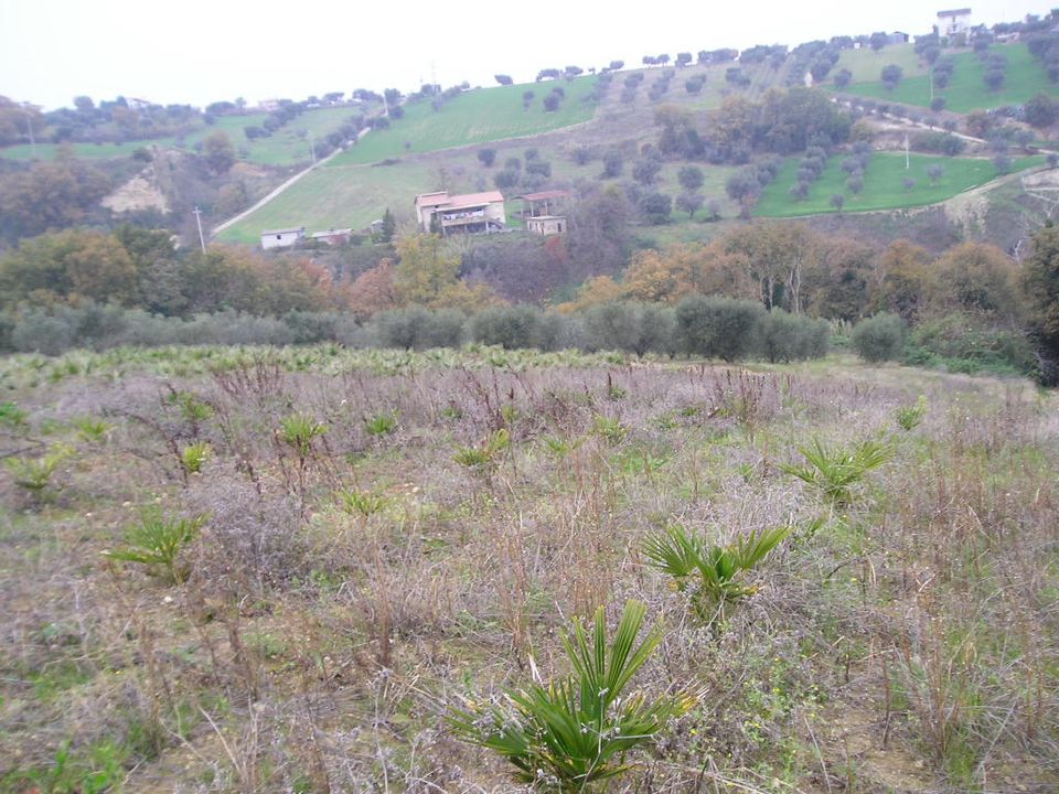 Villa i Grottammare, Ascoli Piceno - bilde 1