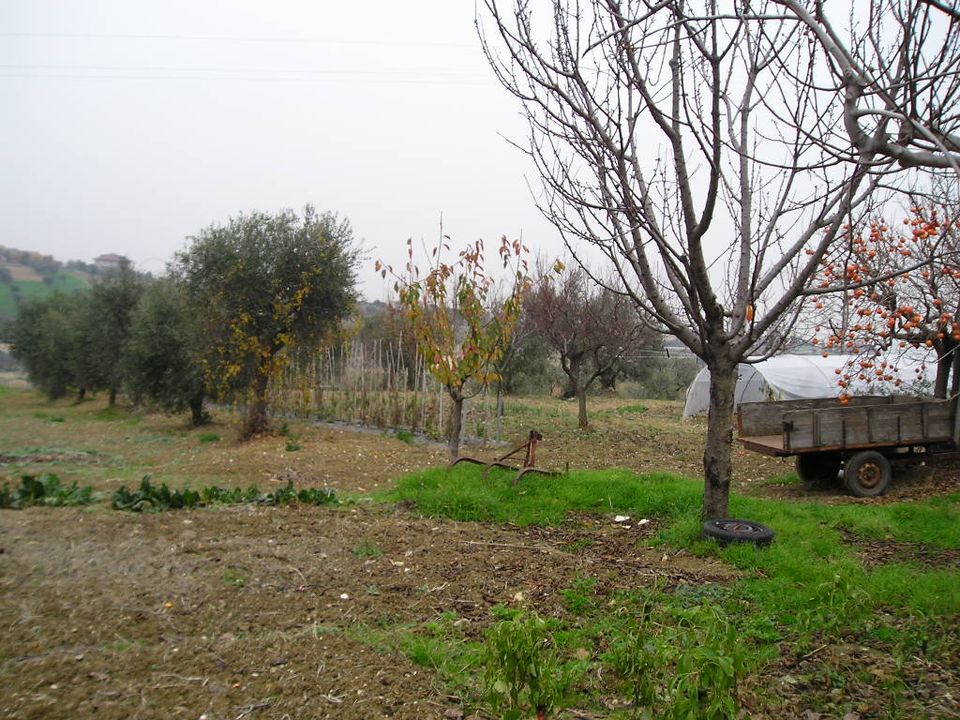 Villa i Grottammare, Ascoli Piceno - bilde 2