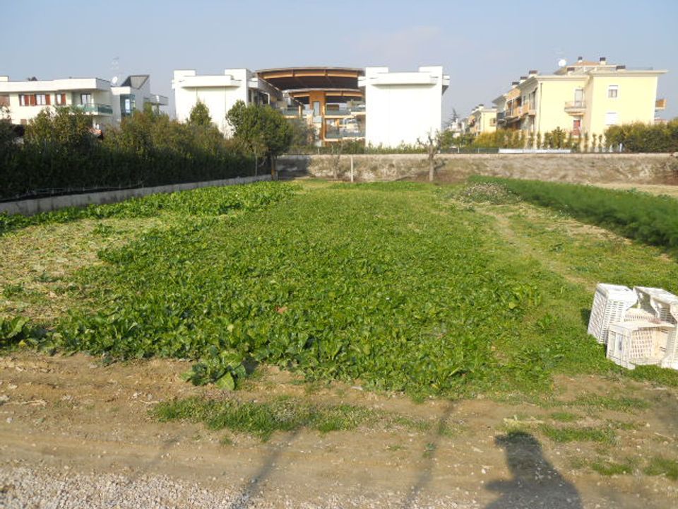 Helårsgrund i Monteprandone, Ascoli Piceno - foto 2