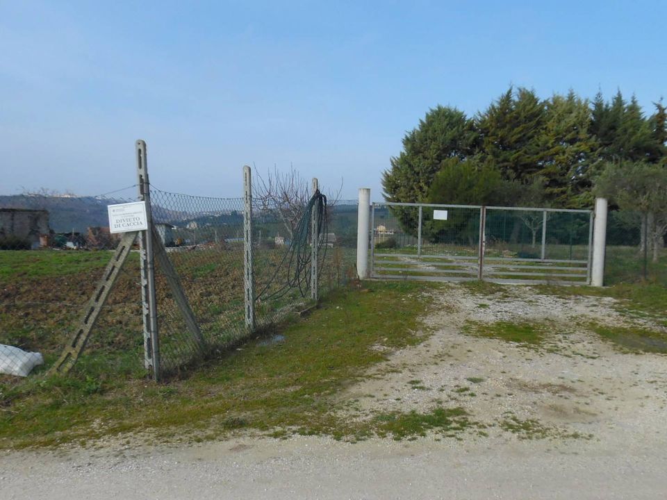 Działka: Colonnella, Teramo – zdjęcie 2