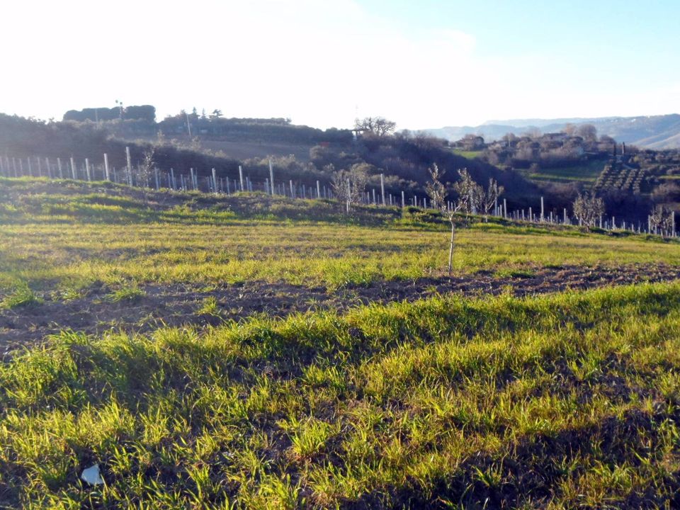 Helårsgrund i San Benedetto Del Tronto, Ascoli Piceno - foto 2