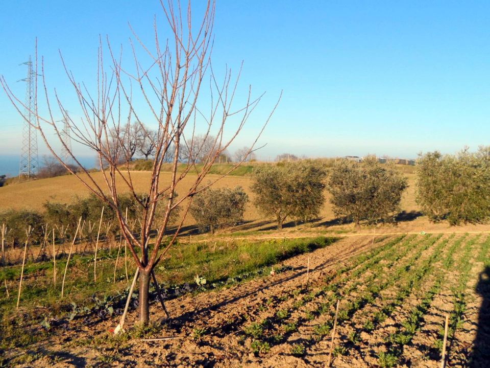 Helårsgrund i San Benedetto Del Tronto, Ascoli Piceno - foto 3