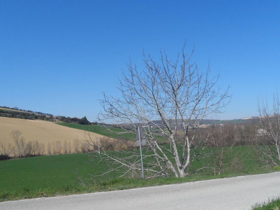 Helårsgrund i Fermo, Fermo - foto 2