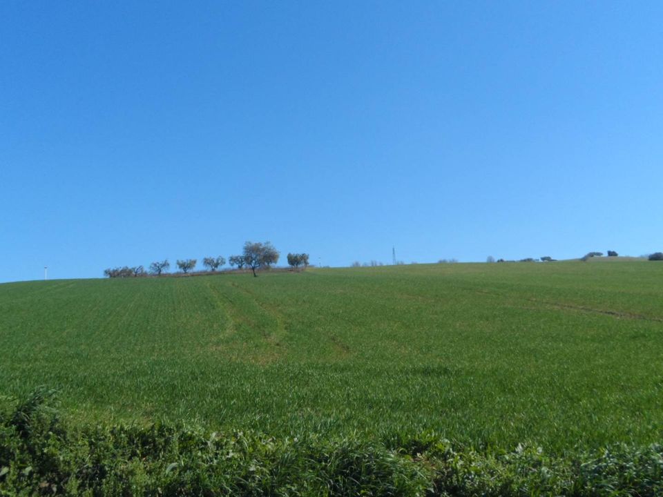 Helårsgrund i Fermo, Fermo - foto 3