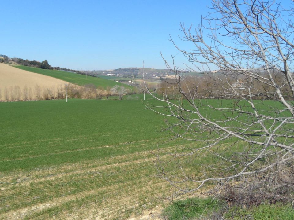 Helårsgrund i Fermo, Fermo - foto 4