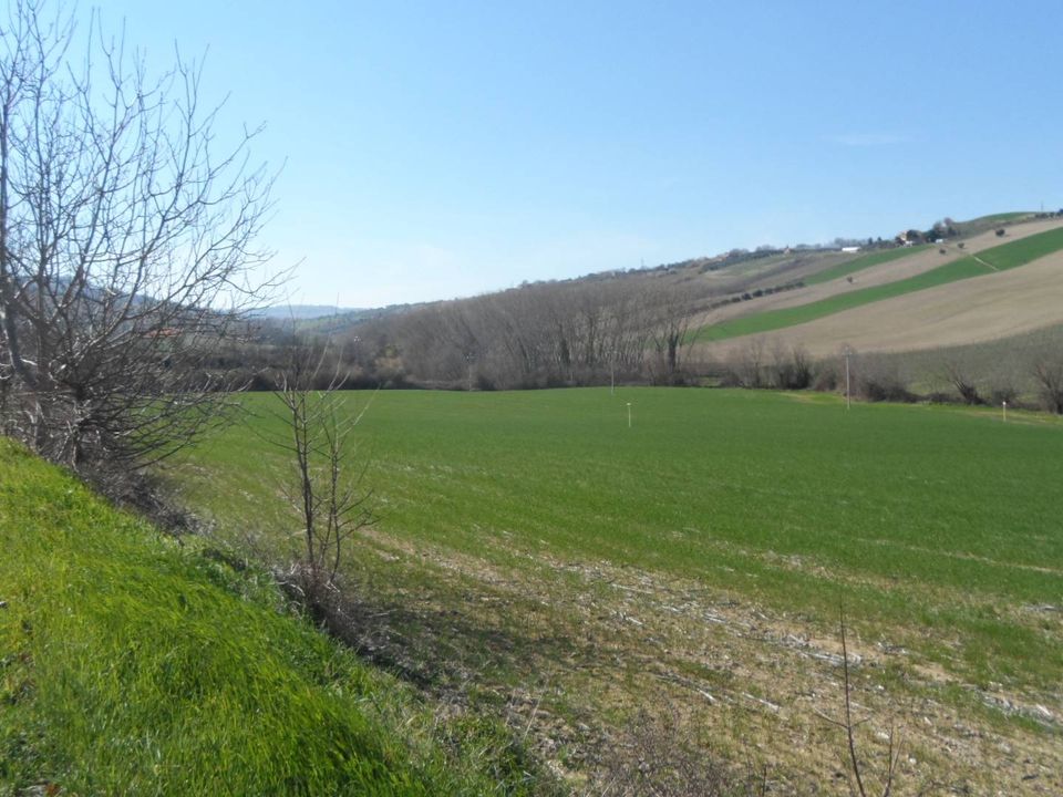 Helårsgrund i Fermo, Fermo - foto 5