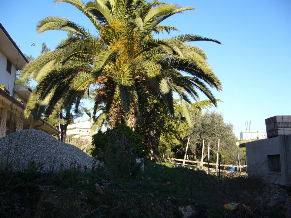 Helårsgrund i Colonnella, Teramo - foto 4