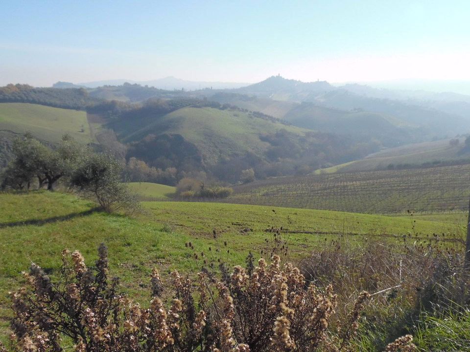 Helårsgrund i Monsampolo del Tronto, Ascoli Piceno - foto 1