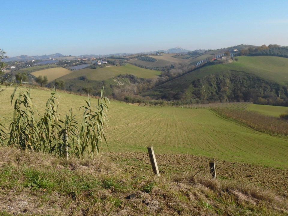 Helårsgrund i Monsampolo del Tronto, Ascoli Piceno - foto 2