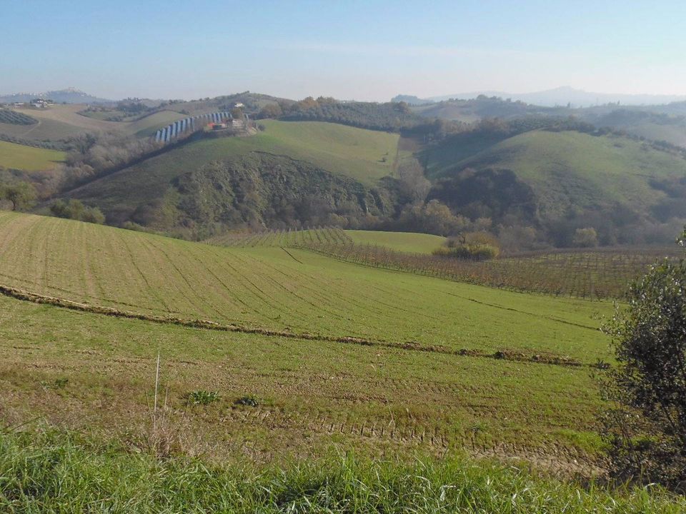 Helårsgrund i Monsampolo del Tronto, Ascoli Piceno - foto 4
