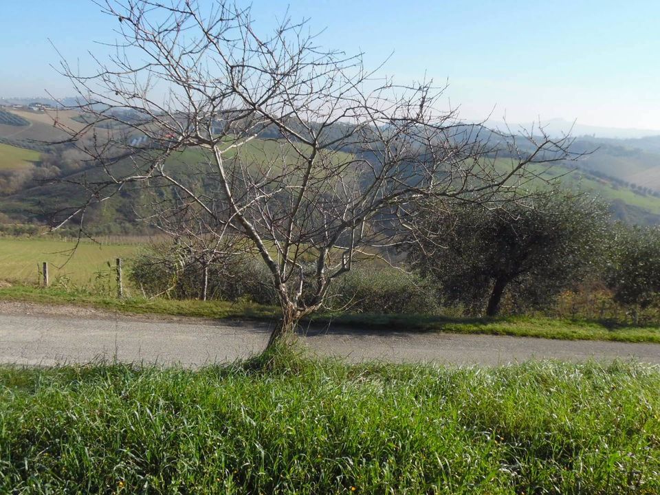 Helårsgrund i Monsampolo del Tronto, Ascoli Piceno - foto 5