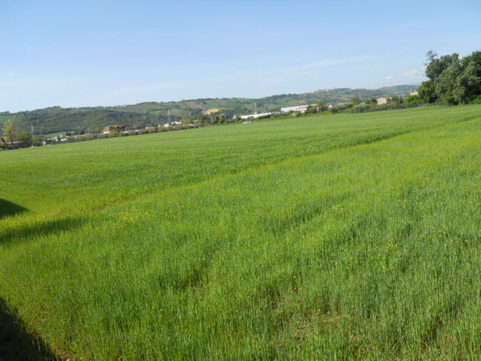 Helårsgrund i Monteprandone, Ascoli Piceno - foto 1