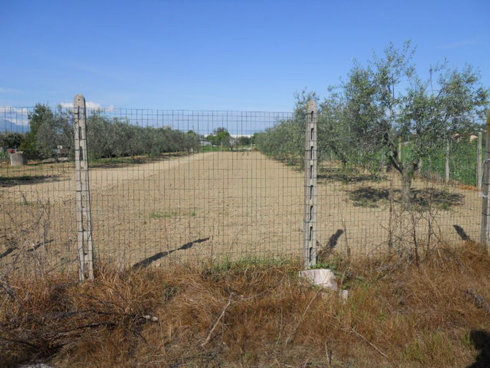 Helårsgrund i Monteprandone, Ascoli Piceno - foto 2