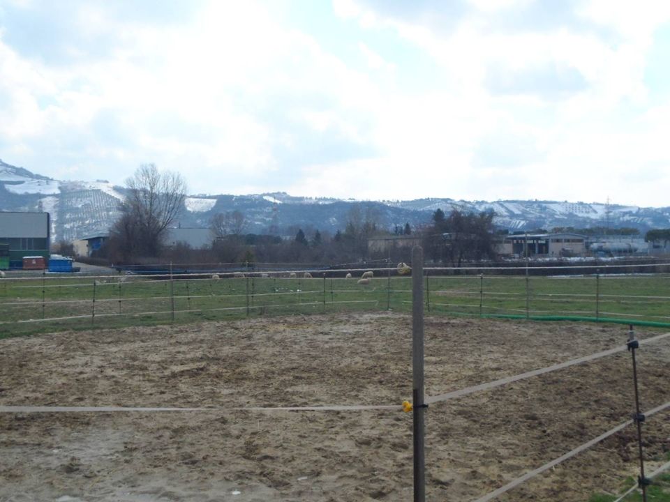 Helårsgrund i Monteprandone, Ascoli Piceno - foto 3