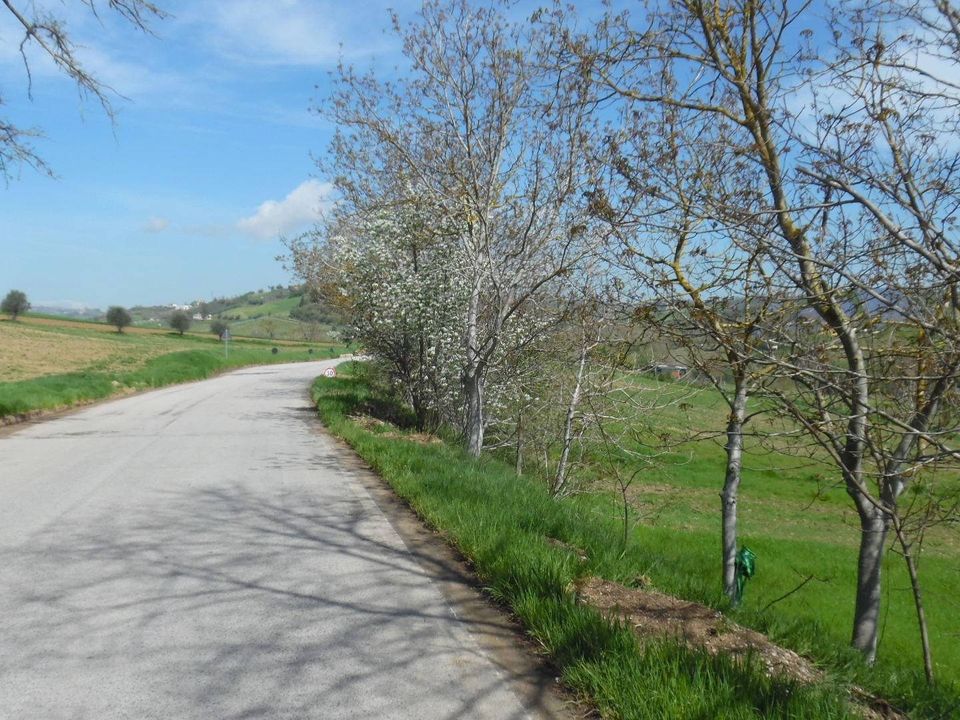 Helårsgrund i Spinetoli, Ascoli Piceno - foto 3