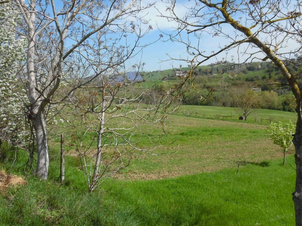 Helårsgrund i Spinetoli, Ascoli Piceno - foto 4