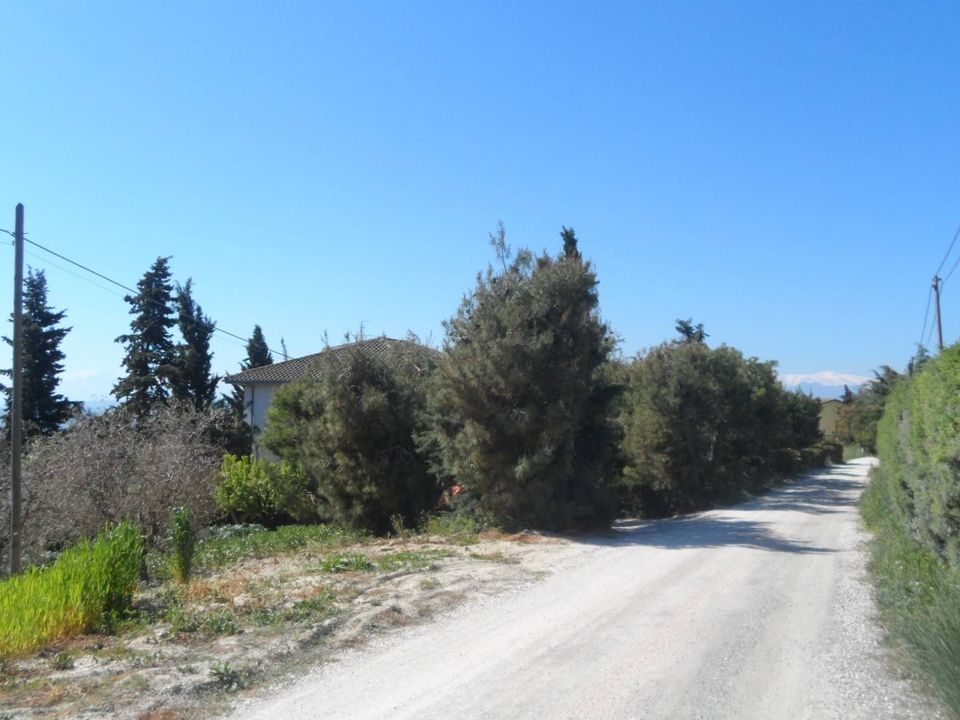 Helårsgrund i Offida, Ascoli Piceno - foto 3