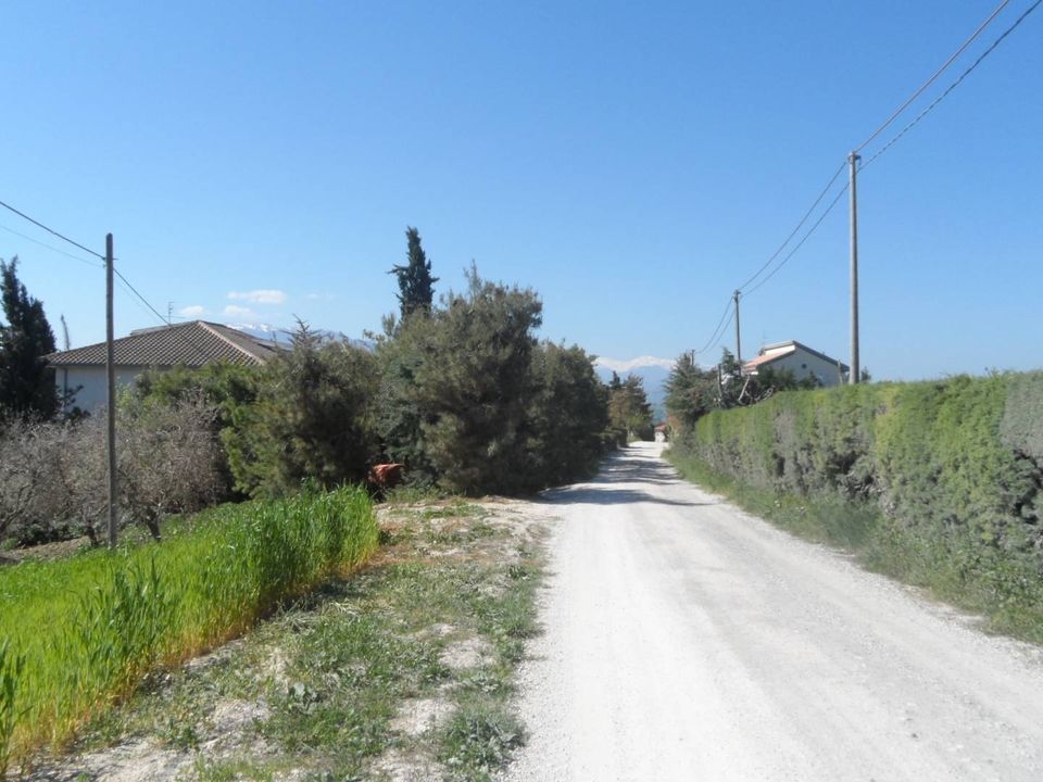 Helårsgrund i Offida, Ascoli Piceno - foto 5