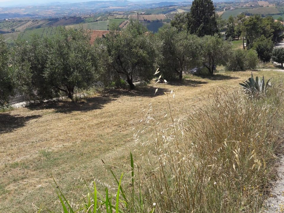 Helårsgrund i Colonnella, Teramo - foto 2