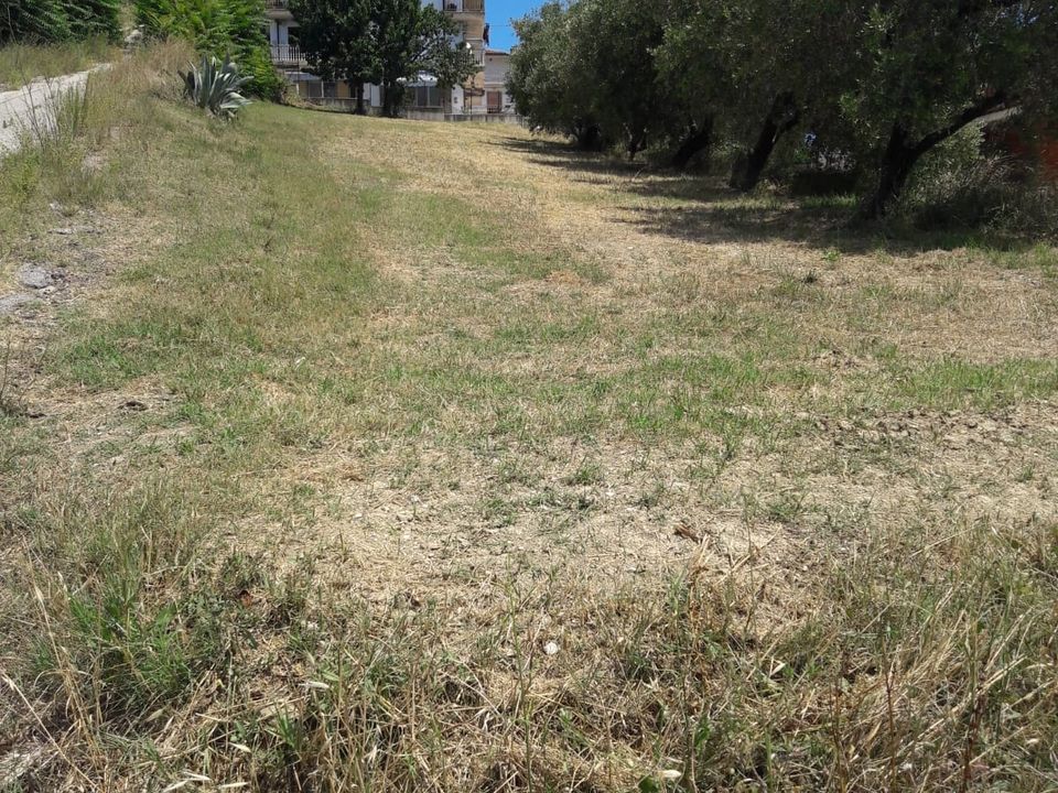 Helårsgrund i Colonnella, Teramo - foto 3