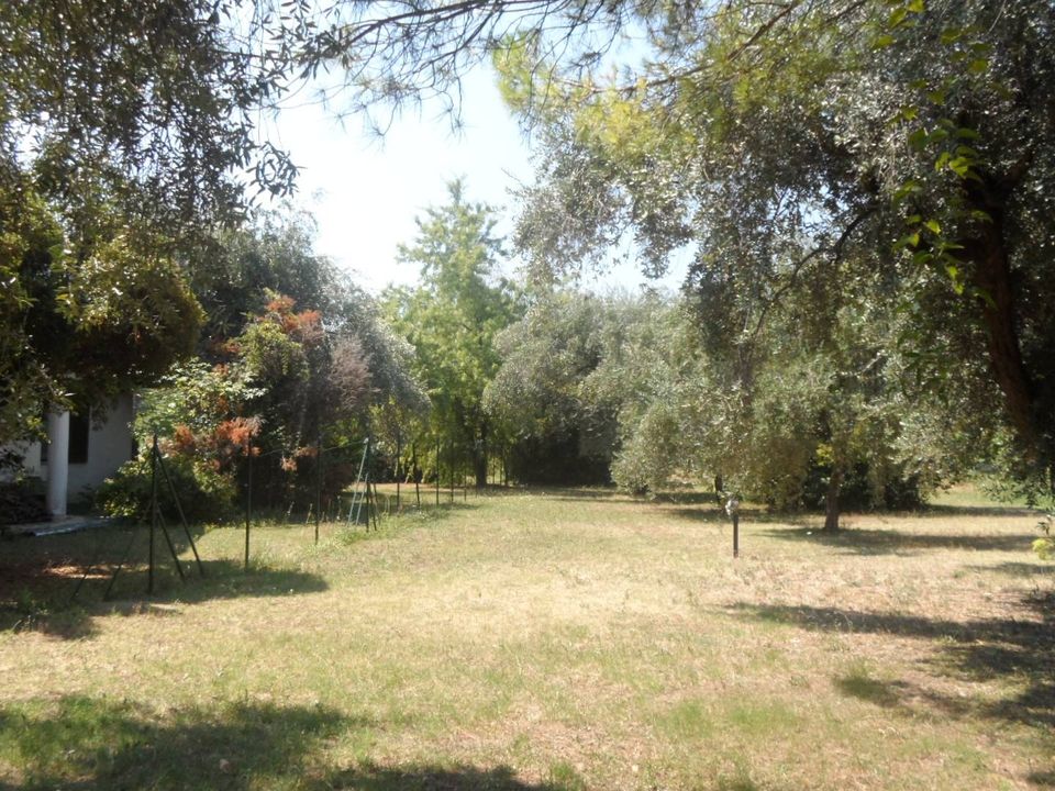 Helårsgrund i Sant'Egidio alla Vibrata, Teramo - foto 5