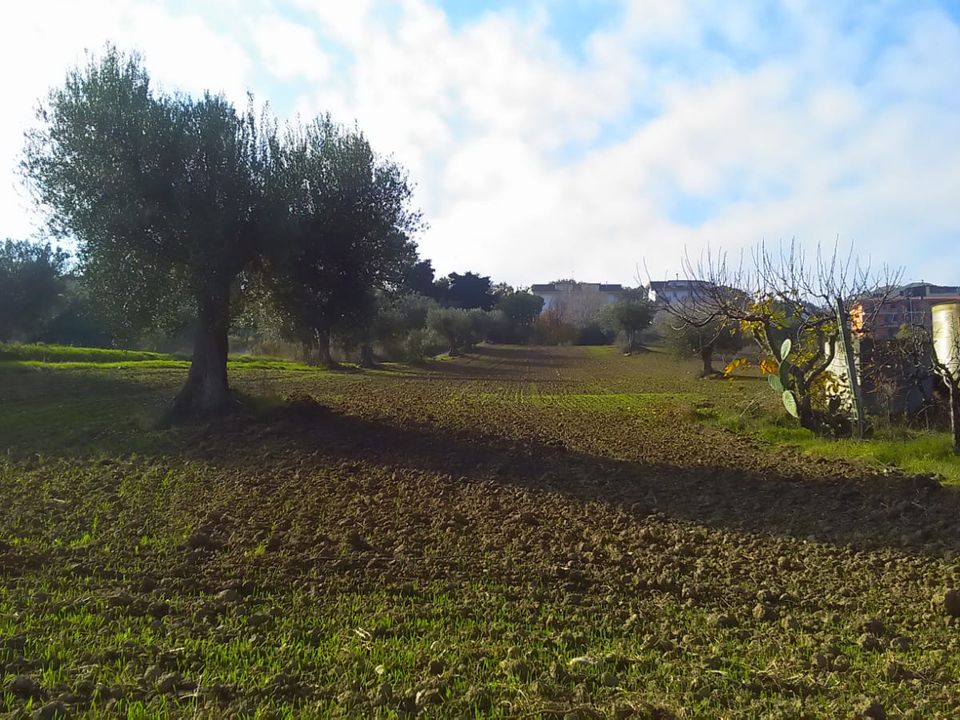 Tomt i Monteprandone, Ascoli Piceno - bilde 2