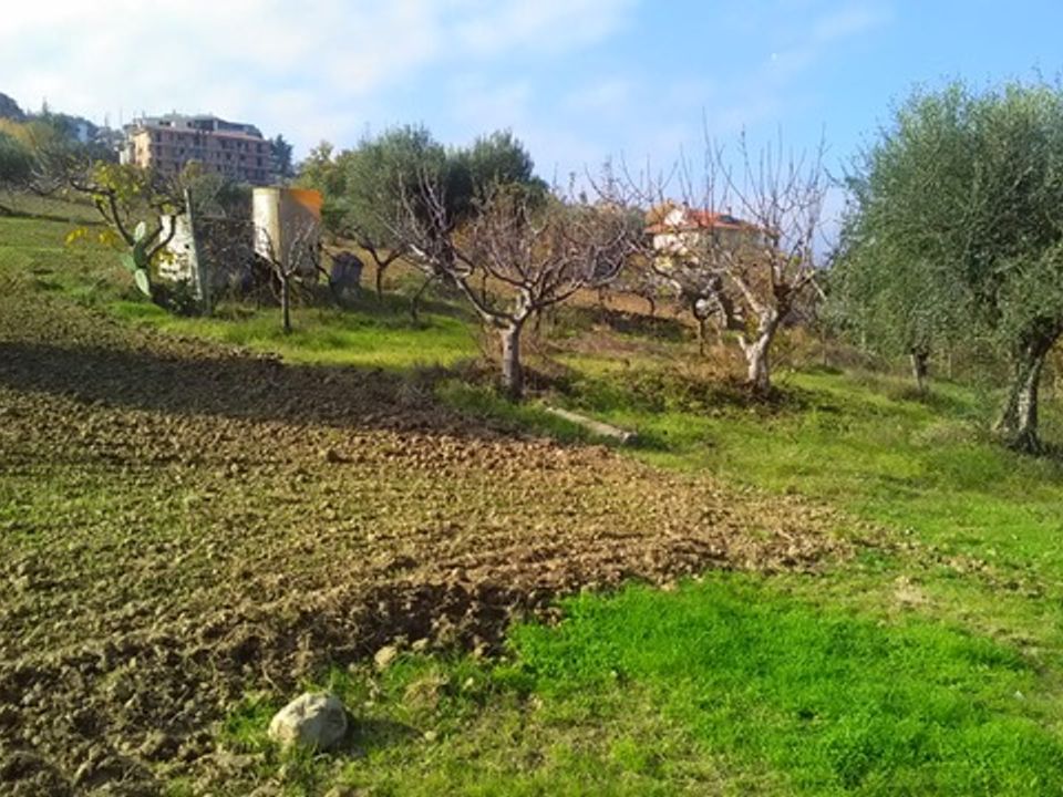 Tomt i Monteprandone, Ascoli Piceno - bilde 4