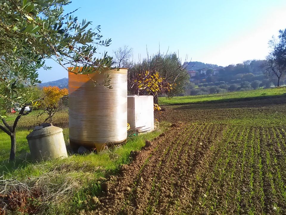 Tomt i Monteprandone, Ascoli Piceno - bilde 5