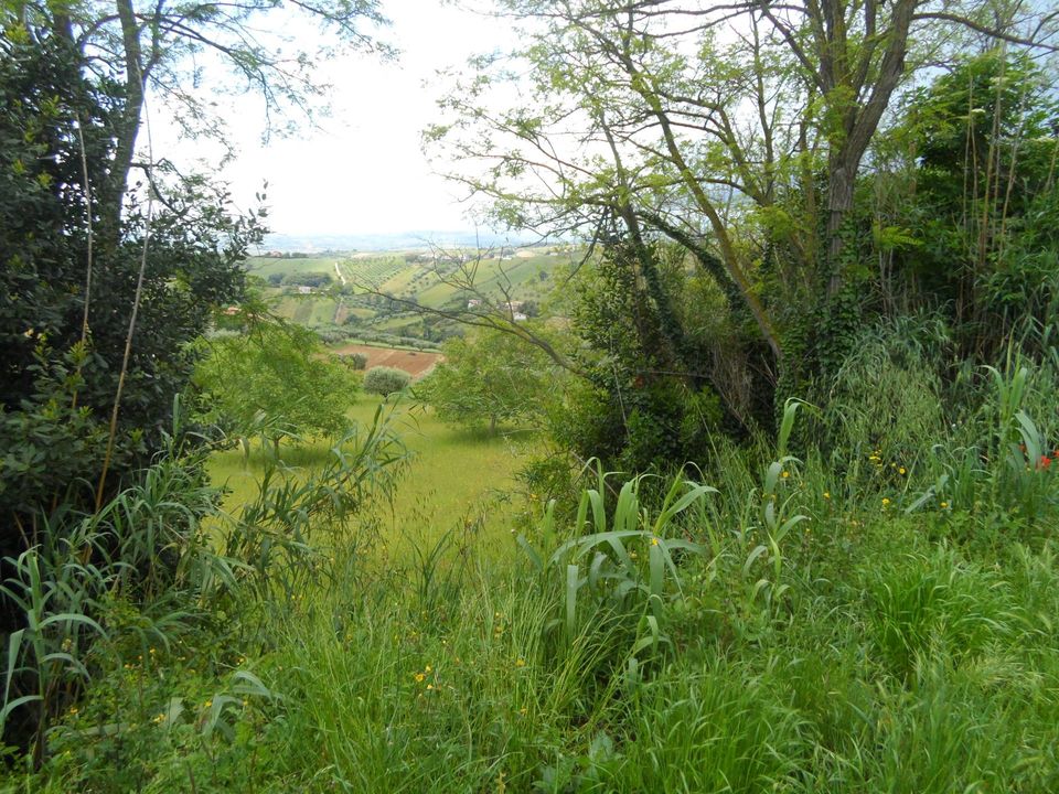 Helårsgrund i Colonnella, Teramo - foto 2