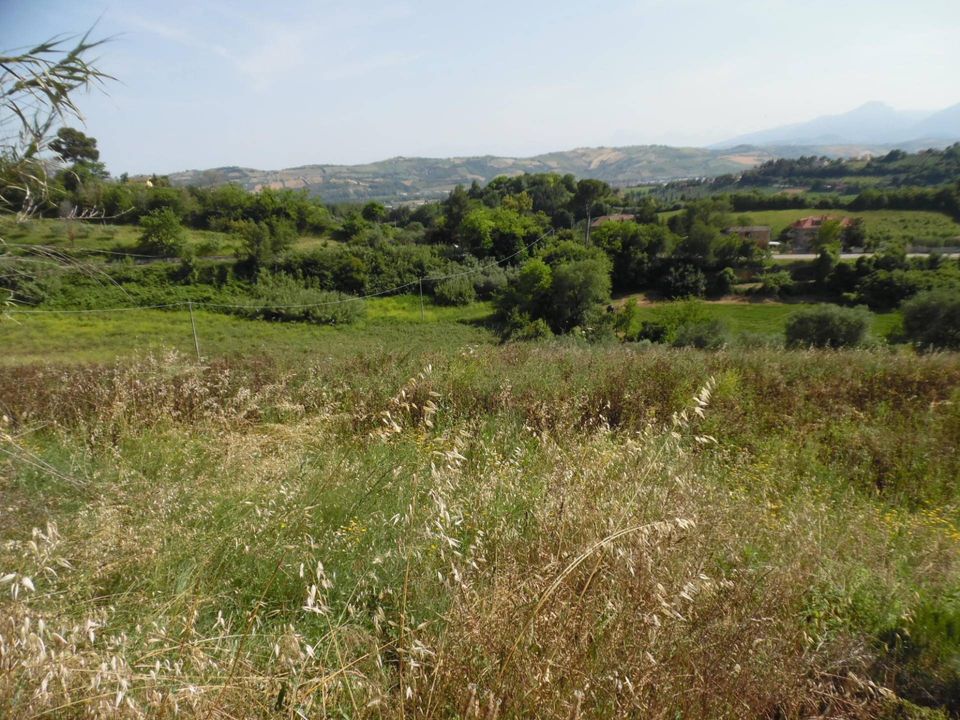 Villa i Monsampolo del Tronto, Ascoli Piceno - foto 5