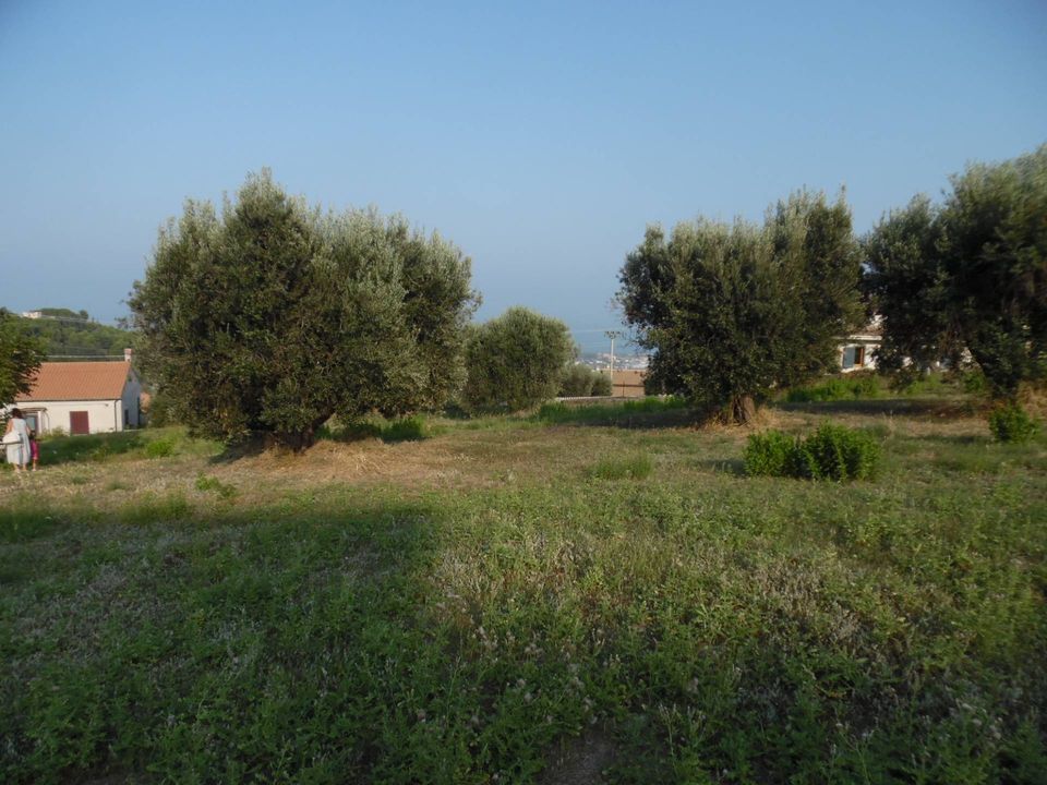 Helårsgrund i Colonnella, Teramo - foto 4