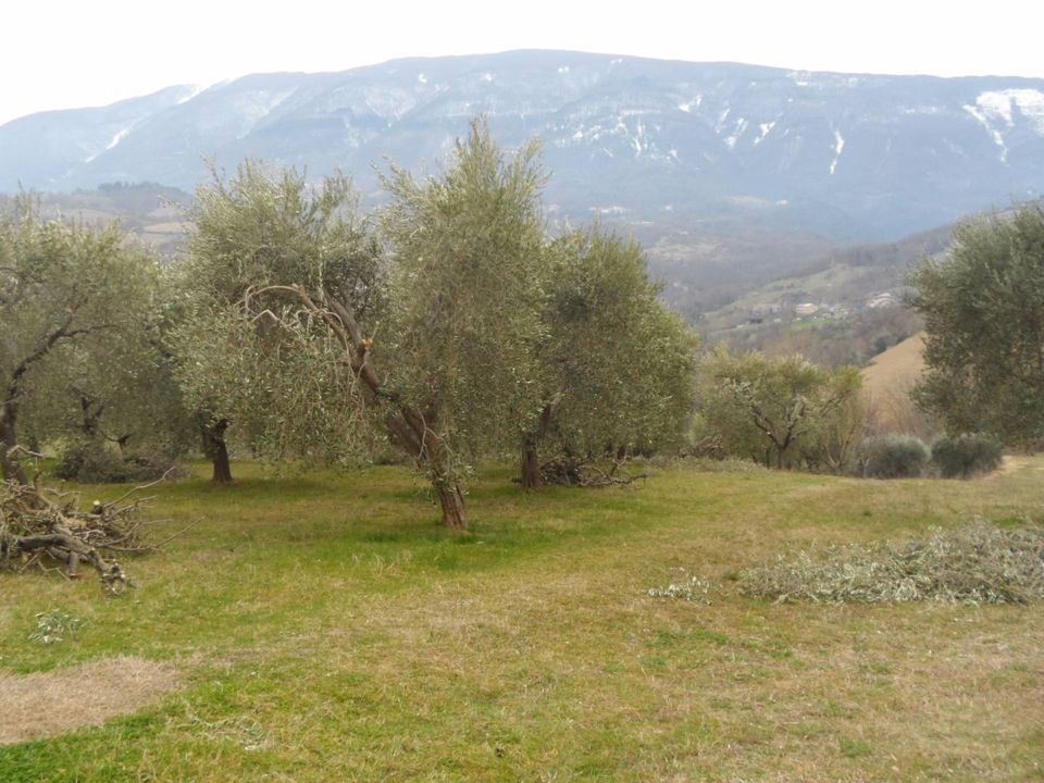 Villa i Folignano, Ascoli Piceno - bilde 4