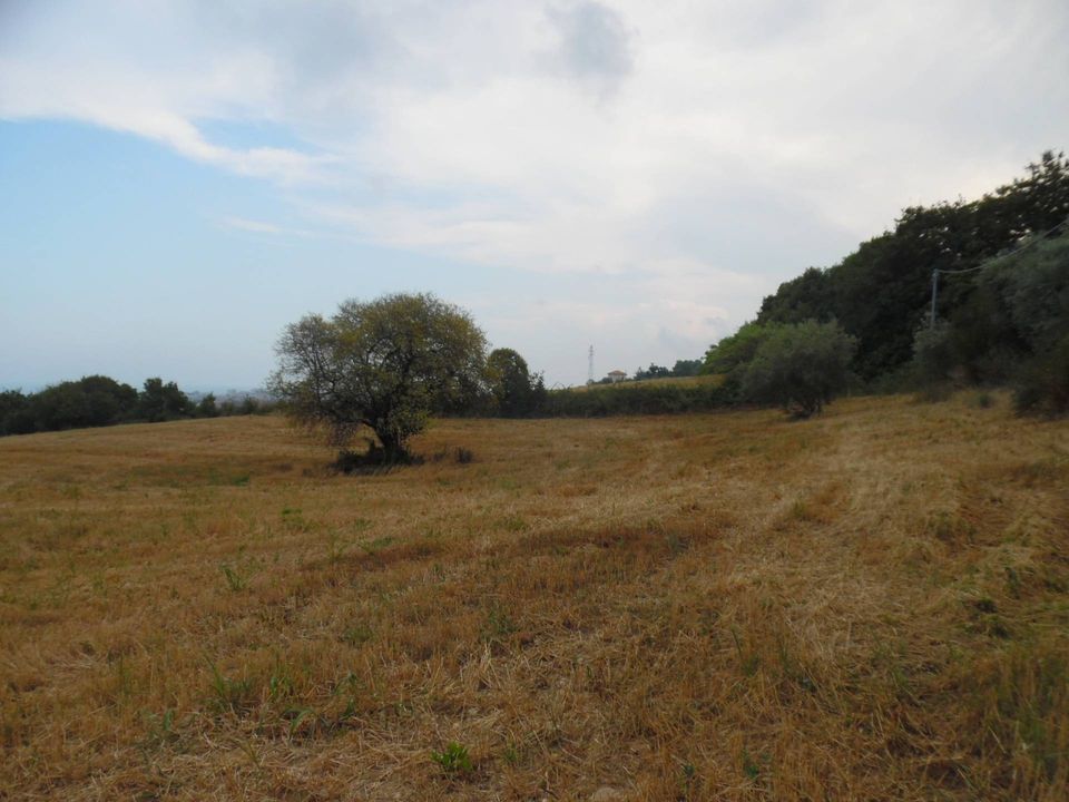 Helårsgrund i San Benedetto Del Tronto, Ascoli Piceno - foto 3