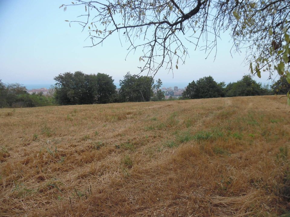 Helårsgrund i San Benedetto Del Tronto, Ascoli Piceno - foto 5