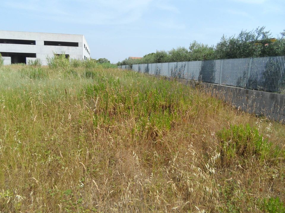 Tomt i San Benedetto Del Tronto, Ascoli Piceno - bilde 4