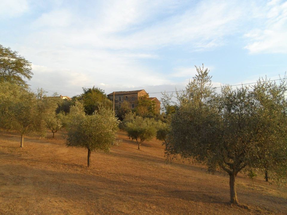 Terra a Castorano, Ascoli Piceno - foto 1