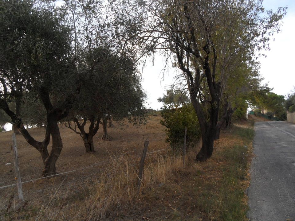 Terra a Castorano, Ascoli Piceno - foto 3