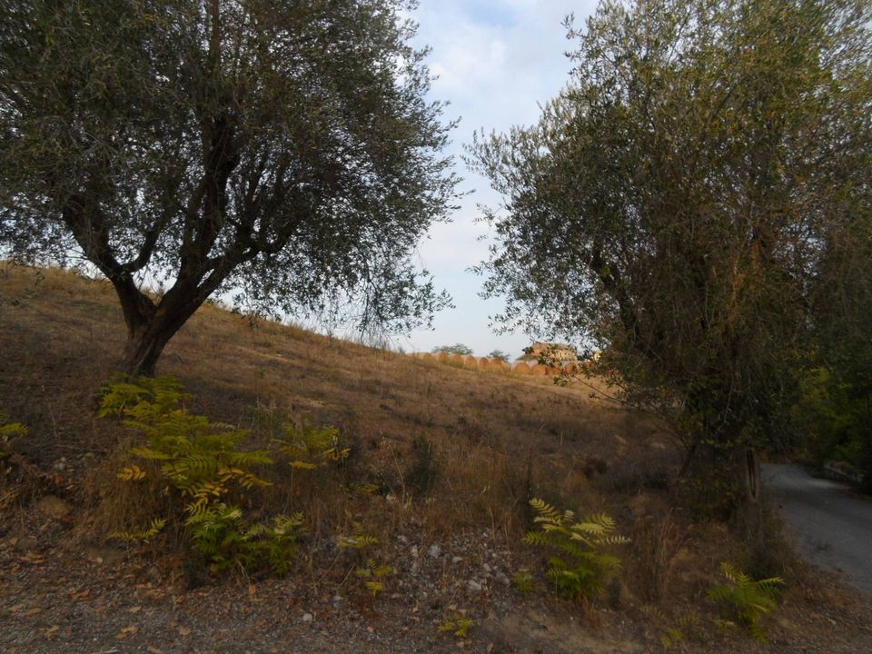 Terra a Castorano, Ascoli Piceno - foto 4