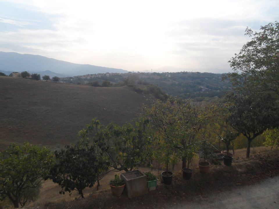Terra a Castorano, Ascoli Piceno - foto 5