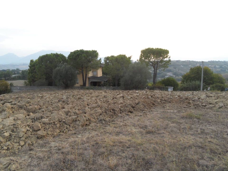Terra a Castorano, Ascoli Piceno - foto 3