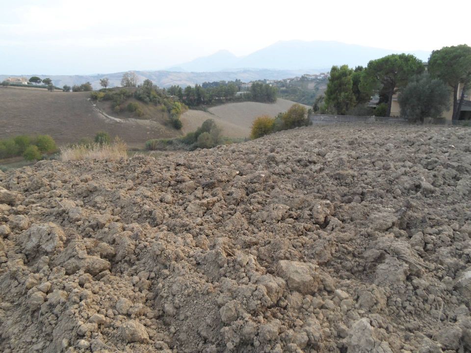 Terra a Castorano, Ascoli Piceno - foto 4