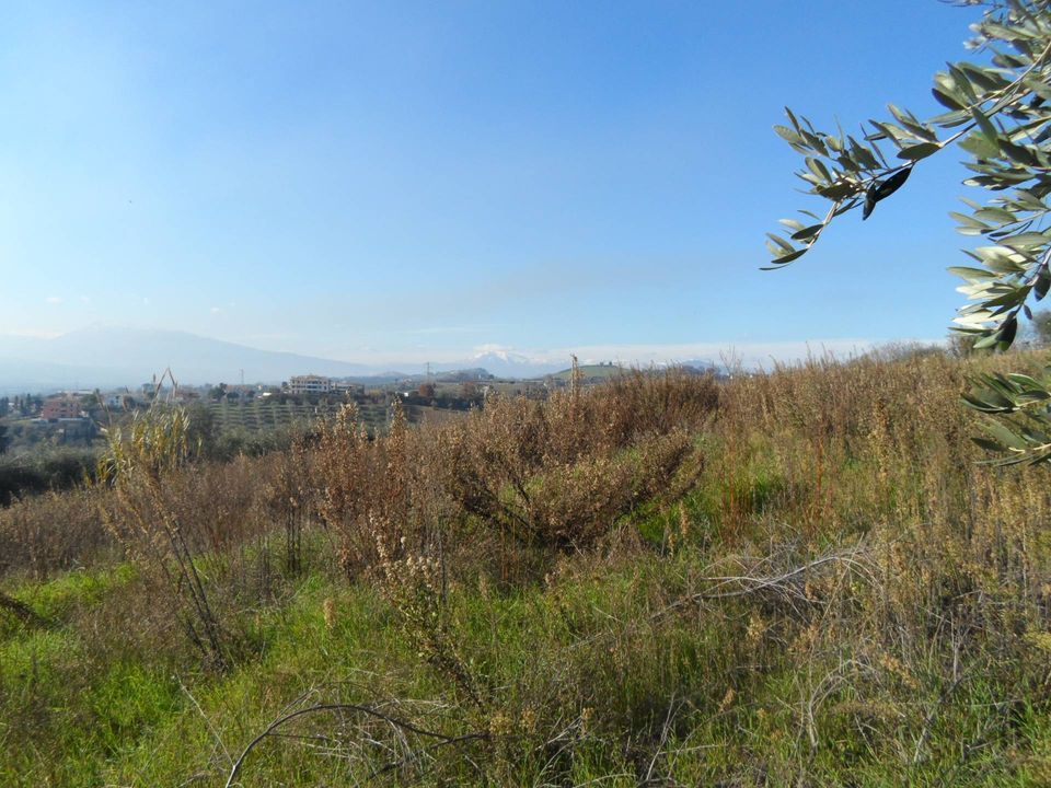 Helårsgrund i Monteprandone, Ascoli Piceno - foto 1