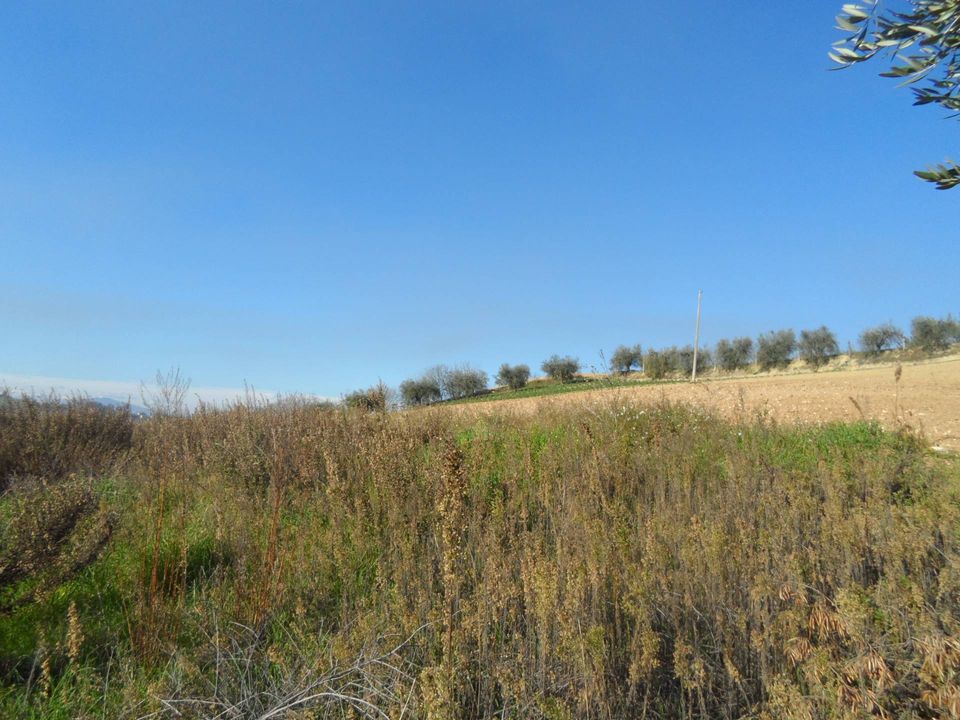 Helårsgrund i Monteprandone, Ascoli Piceno - foto 2