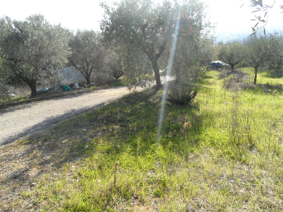 Helårsgrund i Monteprandone, Ascoli Piceno - foto 5