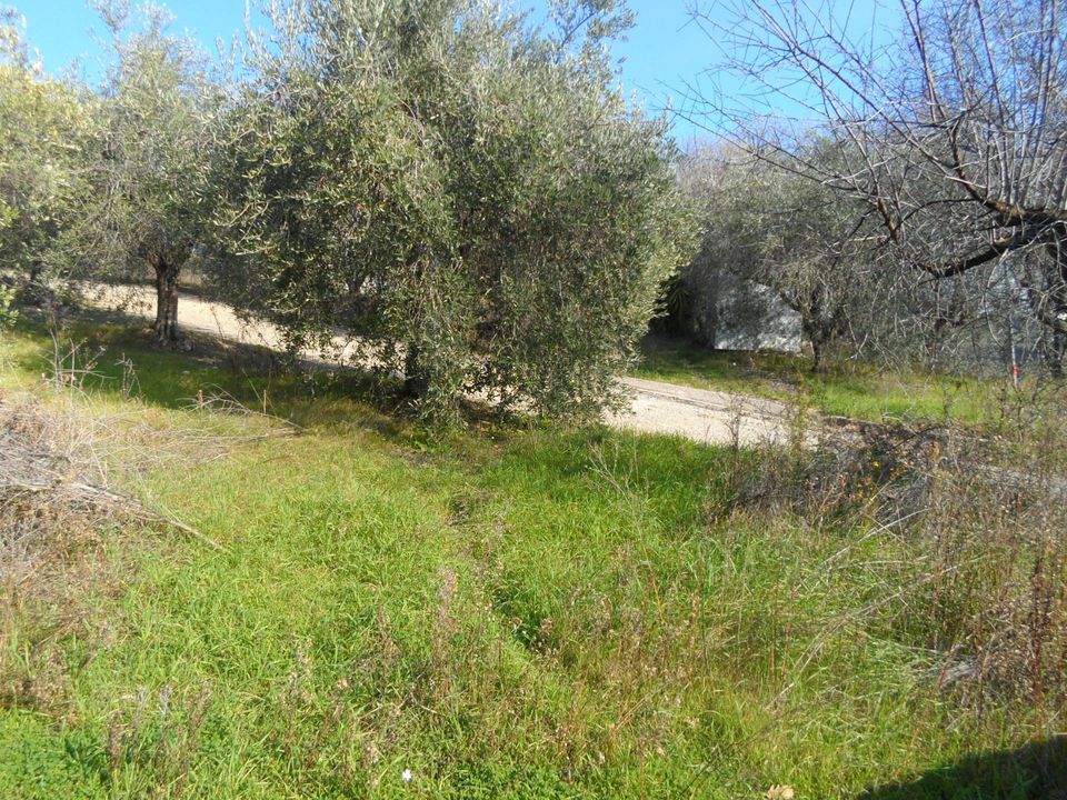 Villa i Monteprandone, Ascoli Piceno - bilde 5