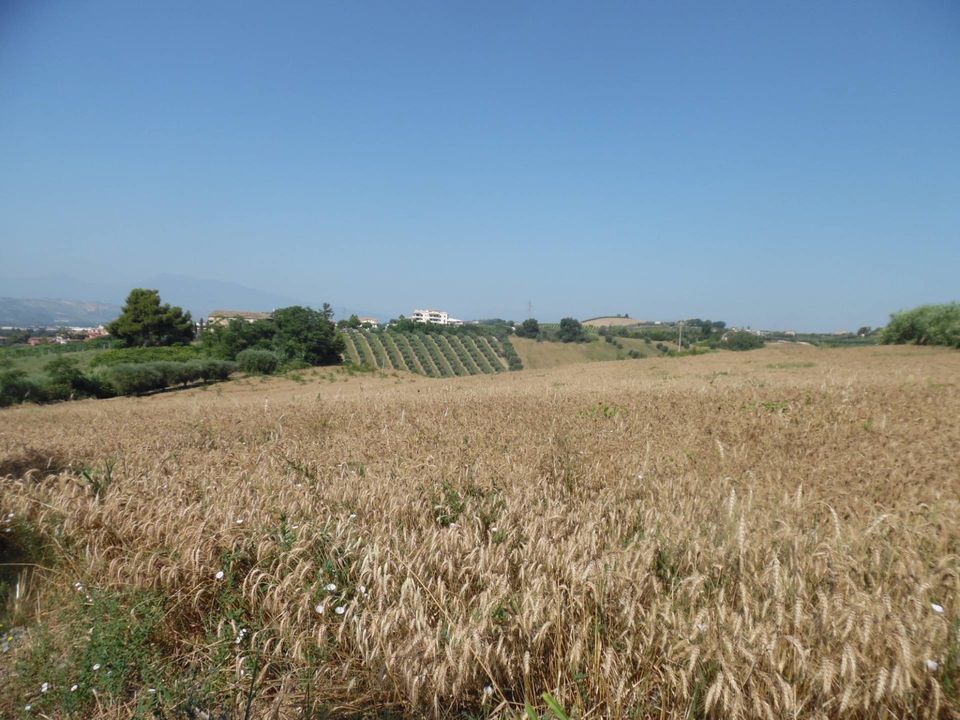 Helårsgrund i Monteprandone, Ascoli Piceno - foto 3