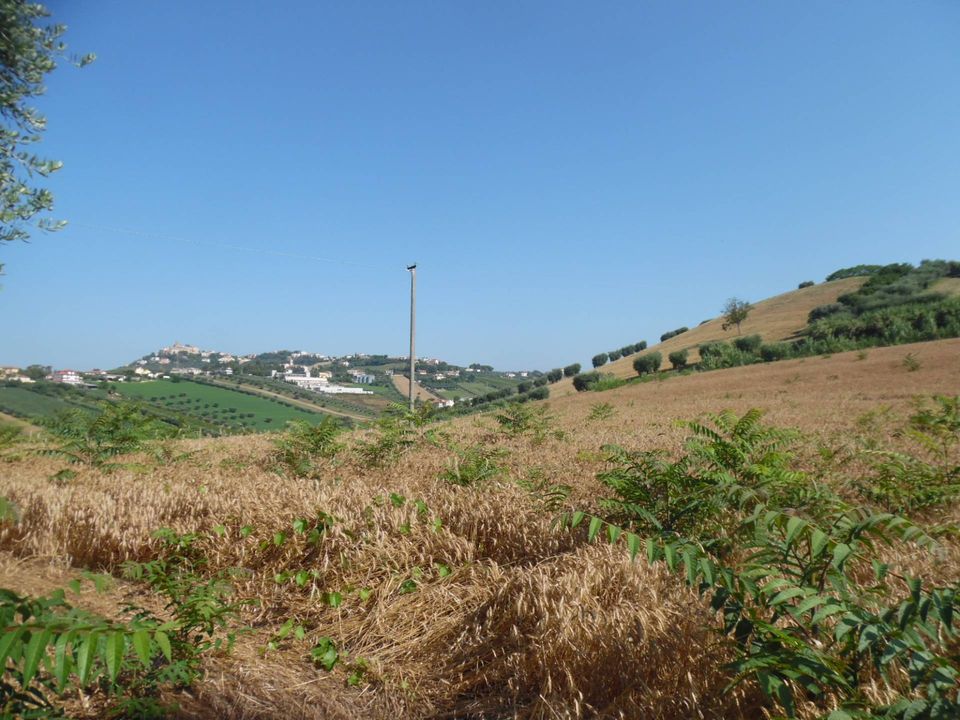 Helårsgrund i Monteprandone, Ascoli Piceno - foto 5