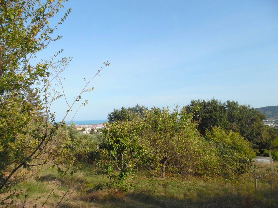 Helårsgrund i Monteprandone, Ascoli Piceno - foto 3