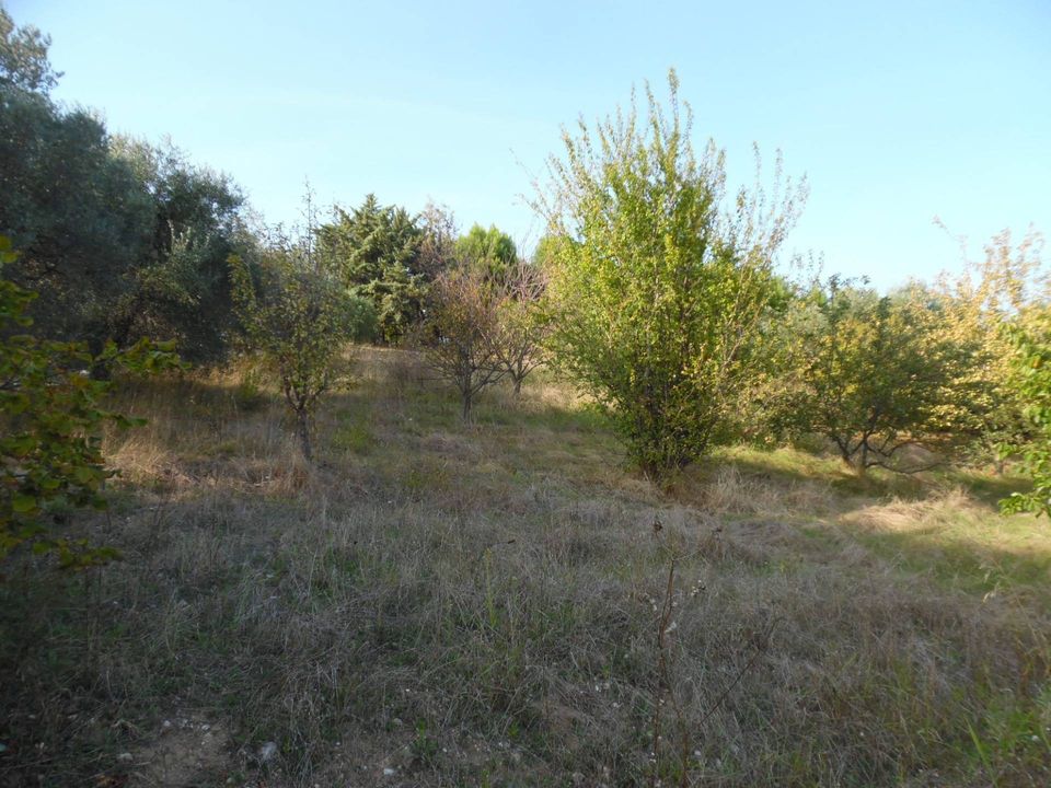 Helårsgrund i Monteprandone, Ascoli Piceno - foto 4